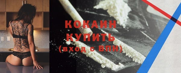 крисы Алексин